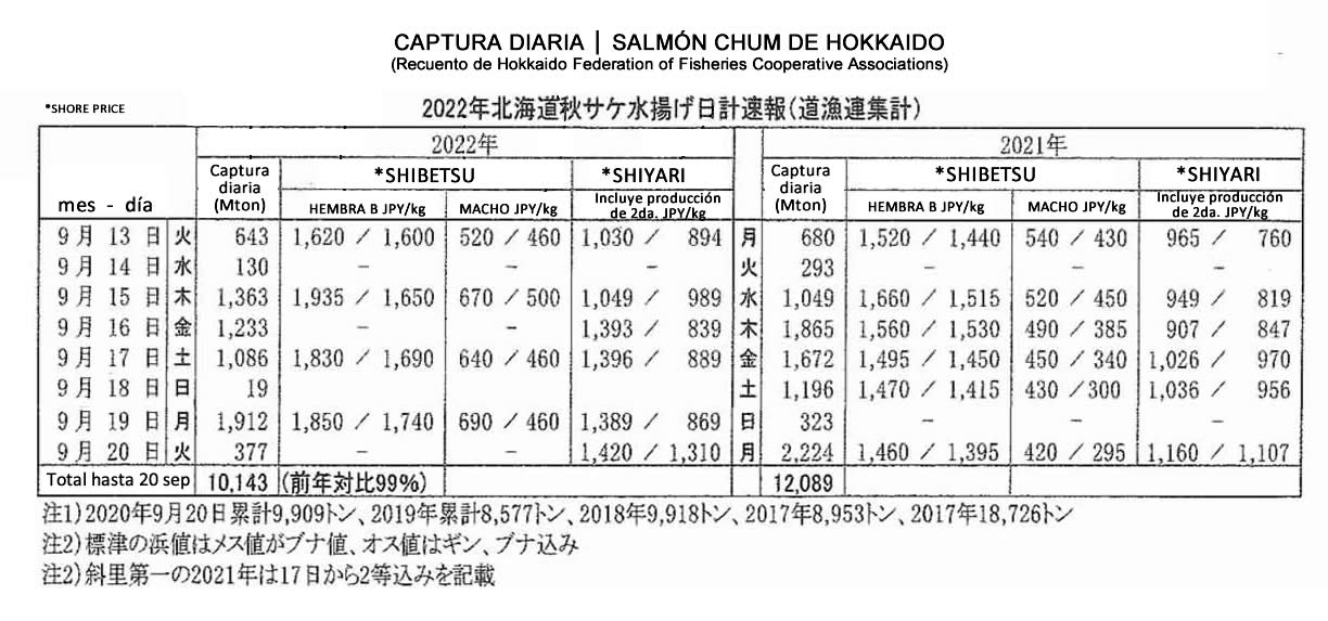 2022092106esp-Captura diaria de chum salmon de Hokkaido 4 FIS seafood_media.jpg